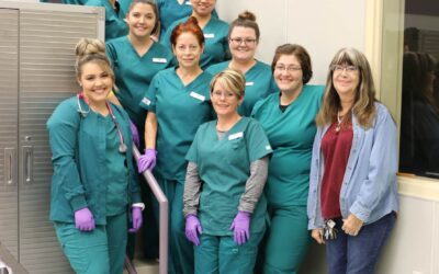 Nursing Program Receives Continued Accreditation